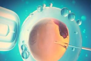 珠海怀孕生子试管医院榜单公开，2023试管婴儿怀孕费用