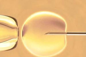 中山怀孕生子试管医院榜单官宣，2023试管婴儿怀孕费用