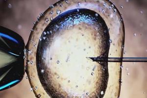 广州怀孕生子试管医院排行榜公布，2023试管婴儿怀孕医院推荐