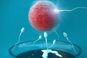2023广西不孕不育试管婴儿试管助孕成功率分析，患者自身因素影响比较大