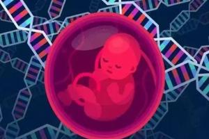 2023柳州三代试管婴儿医院大全最新，附三代试管婴儿选男孩条件