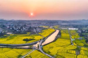 2023最新公布娄底试管婴儿医院大全，做试管省钱的4大要点