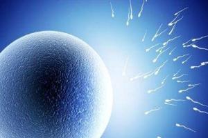 郑州大学第二附属医院有卵子库做试管婴儿试管吗？附最新试管婴儿生子费用全面分析