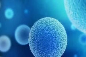 郑州大学第三附属医院有成立卵子库吗？附最新三代试管婴儿试管费用解析
