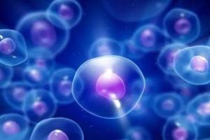 2023福州哪家医院有卵子库？3家医院具备试管婴儿试管通道！