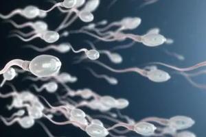 穿刺取精只有d级精子能做三代试管婴儿吗？5种方案提高精子质量