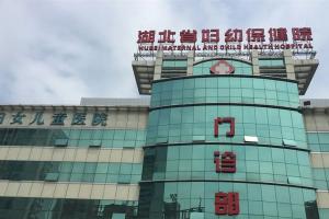 湖北省妇幼保健院有卵子库做试管婴儿吗？试管婴儿三代试管生龙凤胎费用项目