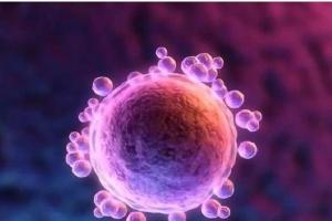 湖州私立医院做试管婴儿能不排队直接申请卵子库吗？理想很丰满，实现很残酷