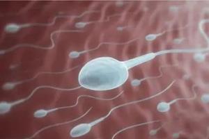 男方精子活力问题做三代试管成功率会高吗？工欲善其事必先利其器