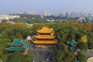 岳阳哪家医院有卵子库？2家公立试管婴儿机构名单公布（附提高成功率事项）