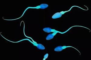 男方精子头部畸形率100%可以做二代试管生孩子吗？答案竟然是这样的