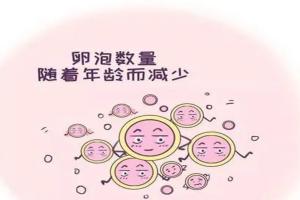 绝经后amh只有0.04在佛山试管医院治疗后能怀孕吗？三家医院可选择