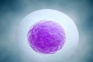 广西哪家医院有卵子库？附2023广西正规试管婴儿试管医院大全