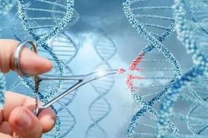 男性Y染色体azfc缺失能做第二代试管助孕吗？三代试管技术最适合！