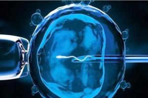 一文解说死精症做二代试管婴儿成功怀孕的几率分析，关键在精子的数量
