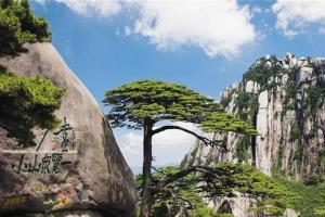 2022合肥试管私立医院有试管婴儿吗？附私立医院生龙凤胎费用明细