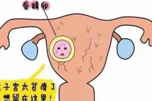 专家答疑：子宫萎缩还能做试管婴儿试管婴儿助孕吗？具体要看病因而定