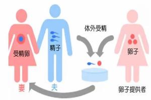试管婴儿试管生的孩子聪明健康吗？看完这三个原因就全明白了