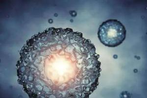湖南私立生殖医院可以做试管婴儿试管吗?附2022私立医院做试管婴儿选择攻略