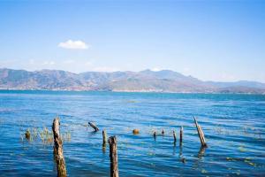 云南省生殖医院是公立医院吗? 附2022生殖医院选择指南大全