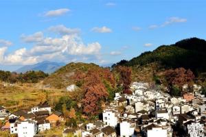 江西省私立生殖医院有哪些？附2022试管怀孕经验分享