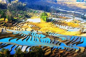 最新更新云南省试管医院排行榜大全，附2022三代试管包怀孕资格说明