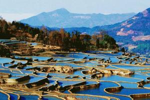 云南省最好的试管是哪个医院？附2022云南三代试管怀孕费用详情