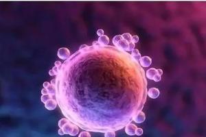 昆明试管私立医院有试管婴儿的吗？附2022昆明试管婴儿怀孕收费项目明细最新