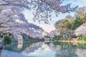 2022长春幼稚子宫试管成功率高的医院排名最新公布，附试管怀孕费用一览