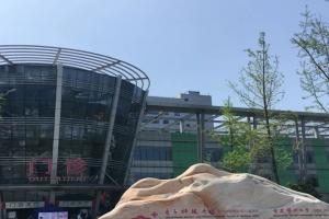 成都市妇幼保健院怀孕生子最新试管费用清单，附2022生殖科最好医师推荐