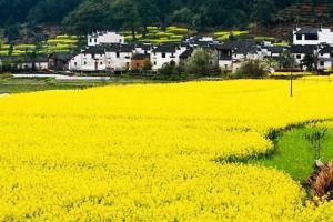 安徽试管婴儿哪里做得成功率高？附盘点影响试管成功率五大因素