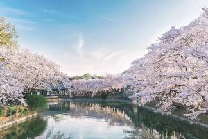 2022长春怀孕生子最好的私立医院排名更新，附怀孕包怀孕费用