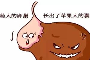 巧克力囊肿会影响试管婴儿成功率吗？背后这4个因素才是重要关注点
