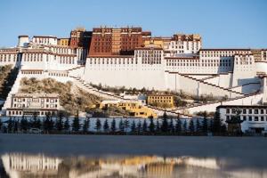 西藏双子子宫患者做试管最受欢迎医院排名，附2022试管费用全部解读