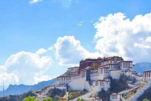 2022西藏双角子宫患者做试管正规医院排名，附影响试管成功率因素说明