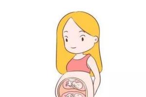 试管婴儿技术助孕生双胞胎的概率高吗，相对于自然怀孕会更高