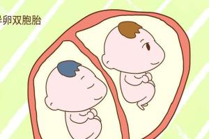 吃促进排卵药就真的能怀上双胞胎了吗，快别被洗脑了
