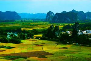 广西卵巢早衰做试管医院前十排名，附2022试管费用全部明细解读