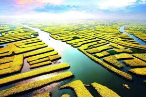 2022江苏做试管婴儿试管最出名的医院排名，附试管婴儿试管怀孕费用说明