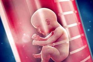2022年安徽妇幼保健院试管婴儿能做一对双胞胎吗，附安徽妇幼保健院试管费用清单