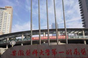 2022年安徽医大一附院做三代试管婴儿生龙凤胎费用明细参考，愿望与风险并存