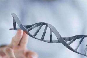 2022最新私人医院做试管选男孩多少钱？内附全国包怀孕医院推荐