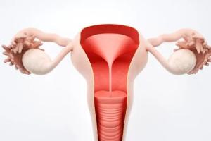 子宫内膜异位做试管成功率？这两种最佳方案可提高妊娠率