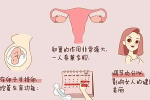 27岁卵巢早衰还有机会怀孕吗？还能做试管吗？一切皆有可能
