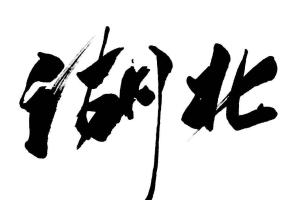 2022最新湖北十大试管婴儿医院排名（内附助孕费用及成功率参考）