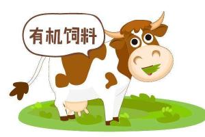 专家权威科普：市面上有机奶粉的优点和缺点