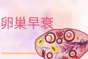卵巢早衰做试管婴儿的成功率高吗？需要根据实际情况综合判断