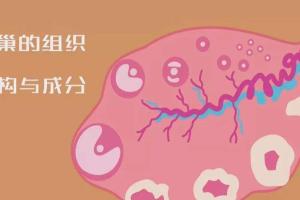 卵巢早衰月经不调可以做试管吗？想要提高试管成功率需要注意这三点