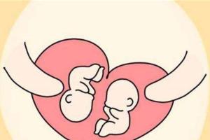 试管婴儿双胞胎的几率有多大？九个最准怀双胞胎征兆