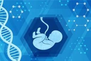 2022年在甘肃兰州做试管婴儿试管费用大概多少钱？准备15万够不够？